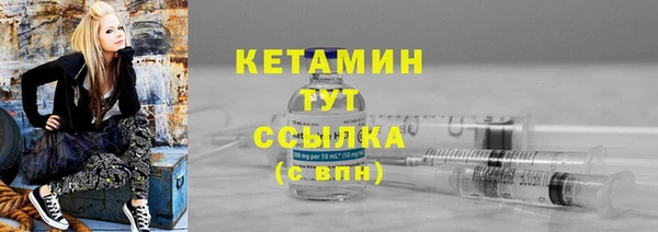 сатива Болотное