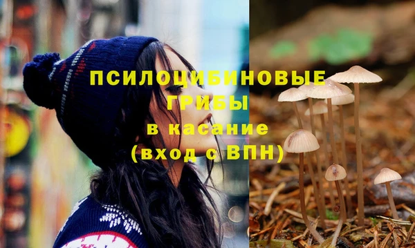эйфоретик Абинск