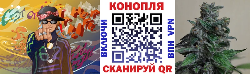 хочу наркоту  Касимов  Канабис планчик 